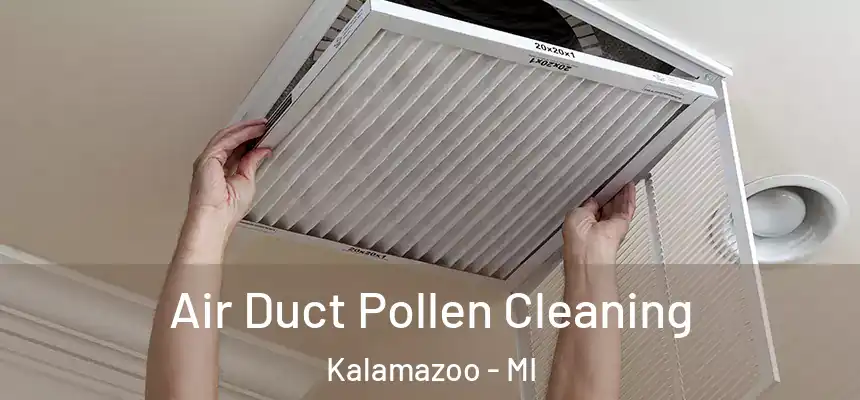 Air Duct Pollen Cleaning Kalamazoo - MI