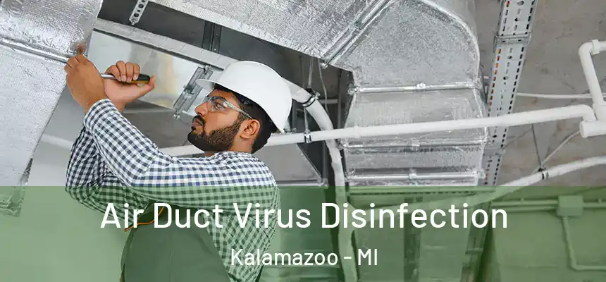  Air Duct Virus Disinfection Kalamazoo - MI