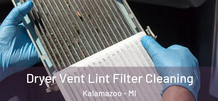  Dryer Vent Lint Filter Cleaning Kalamazoo - MI
