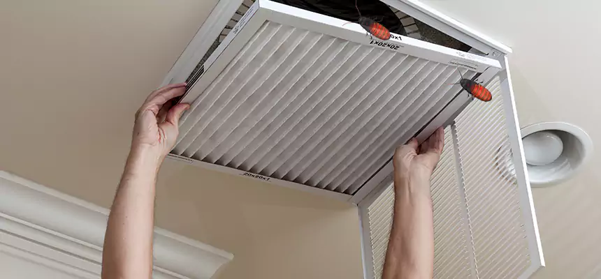 Preventive Cockroach-Proofing for Ducts in Kalamazoo
