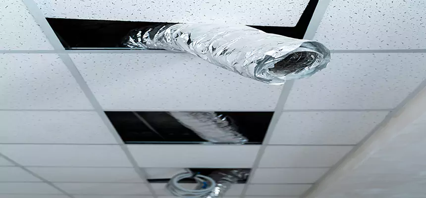 Our Air Duct Pet Hair Removal Services in Kalamazoo, MI