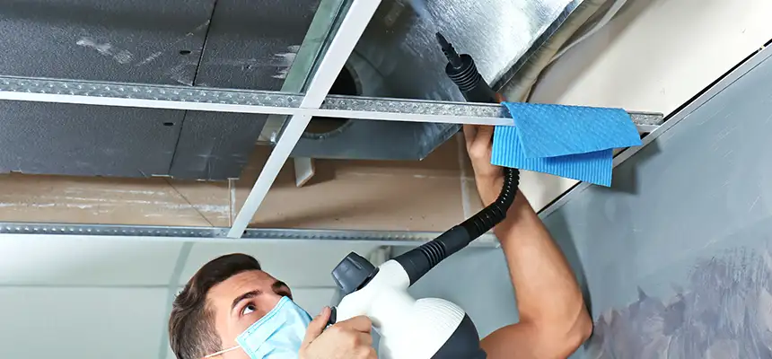 Our Air Duct Rodent Removal Services in Kalamazoo, MI