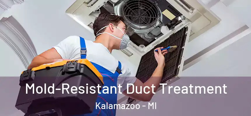  Mold-Resistant Duct Treatment Kalamazoo - MI