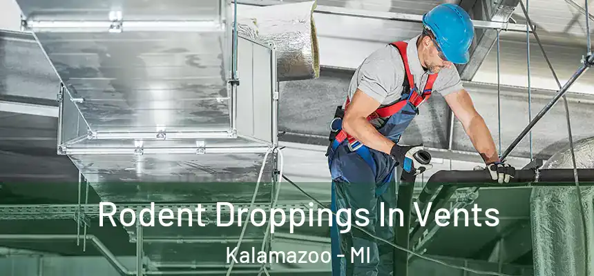  Rodent Droppings In Vents Kalamazoo - MI