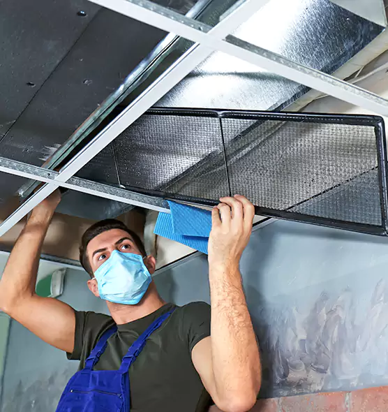 Professional Air Duct Pollen Cleaning in Kalamazoo, MI