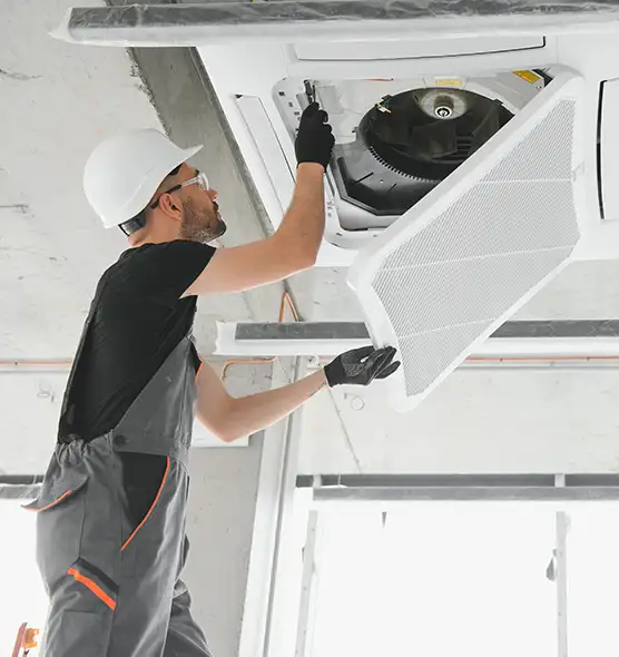 About Air Duct Rodent Removal in Kalamazoo, MI