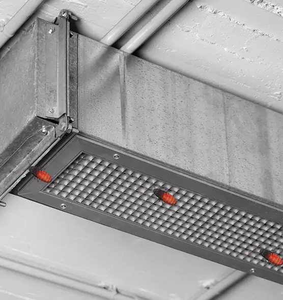 Affordable Insect Removal from Air Ducts in Kalamazoo, MI